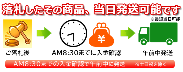 落札したその商品、翌日発送可能です ※最短当日可能